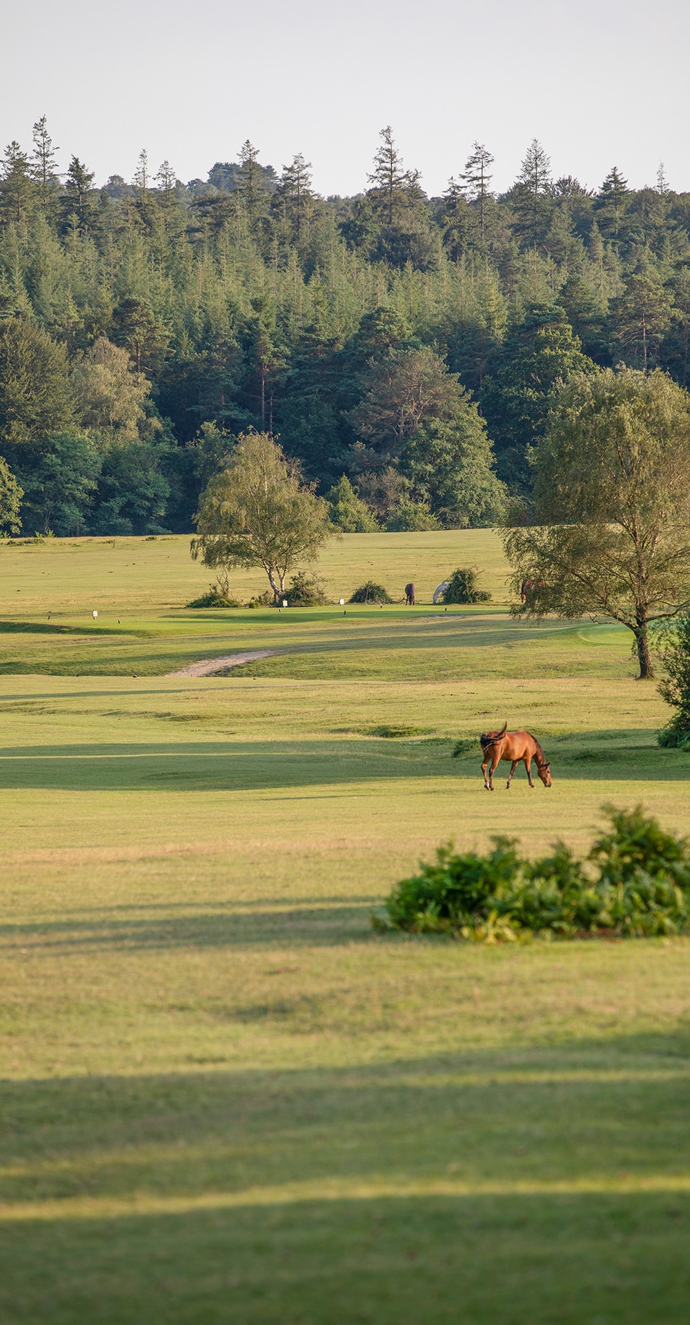 Bramshaw Golf Club in the New Forest, Hampshire