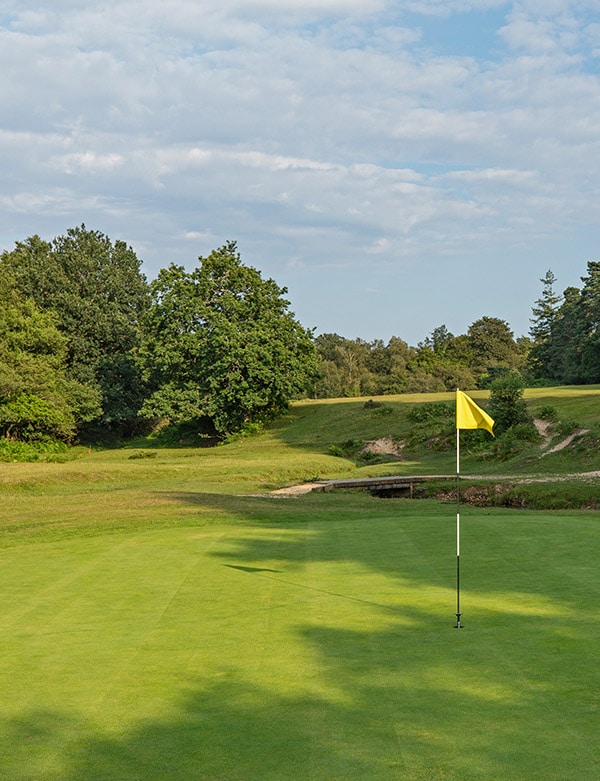 Bramshaw Golf Course - Image 12