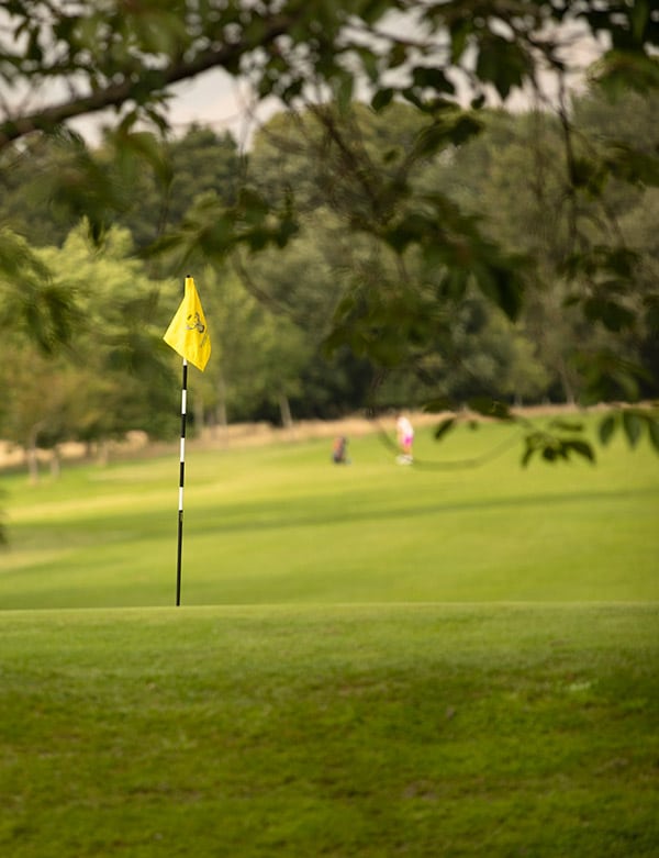 Bramshaw Golf Course - Image 11