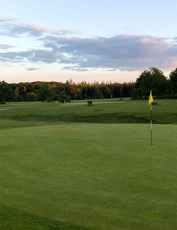 Bramshaw Golf Course - Image 8